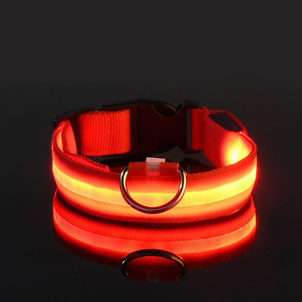 Collier LED Lumineux pour Chien - Sécurité Nocturne
