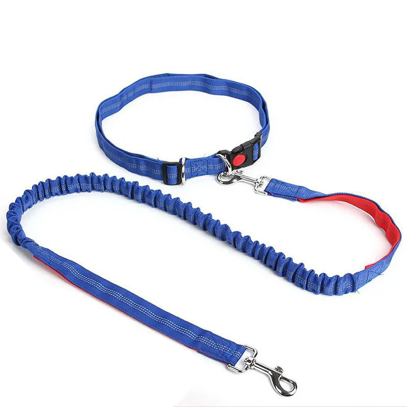 Laisse Mains-Libres pour Chien - Ceinture de Jogging Réglable