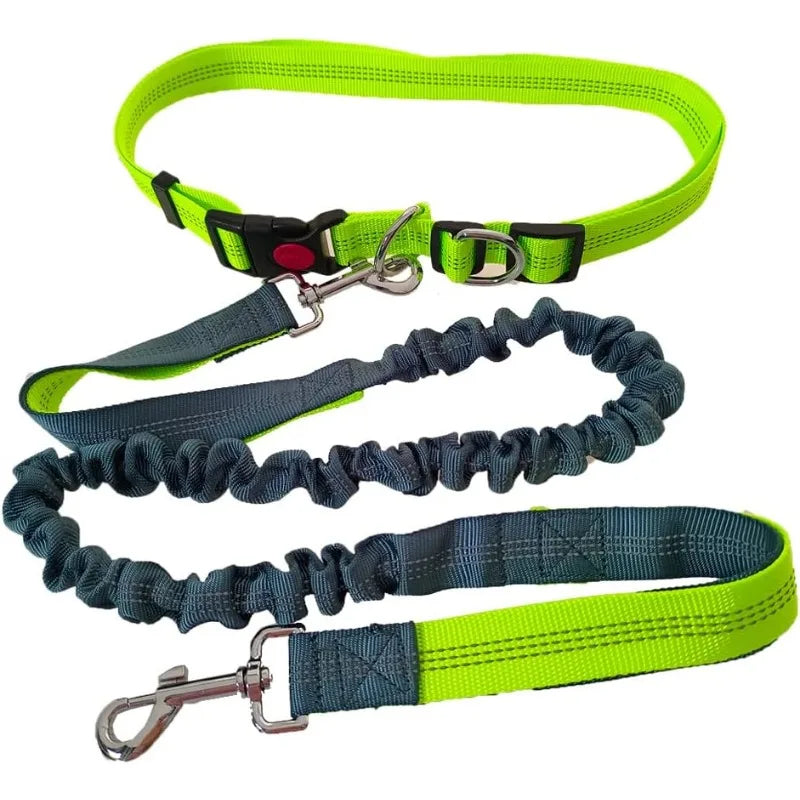 Laisse Mains-Libres pour Chien - Ceinture de Jogging Réglable