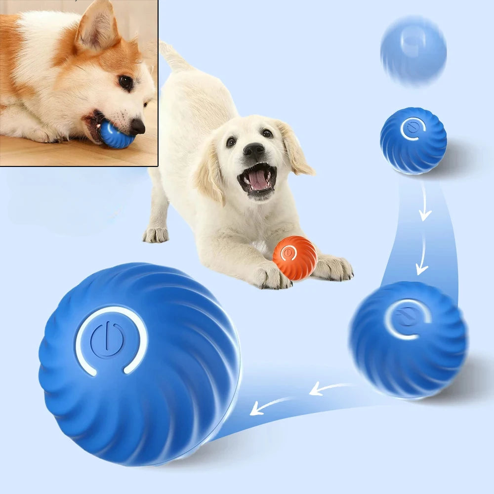Balle Roulante Interactive pour Chien - Jouet Intérieur
