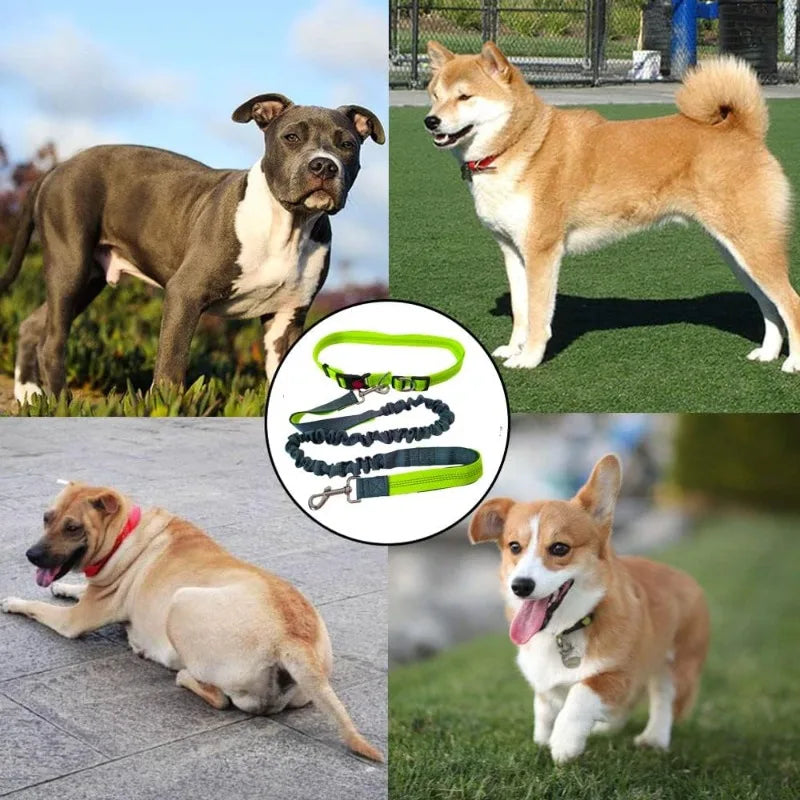Laisse Mains-Libres pour Chien - Ceinture de Jogging Réglable