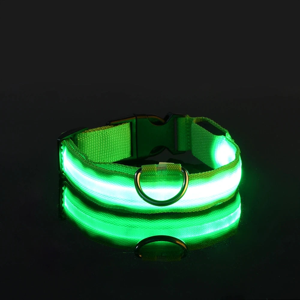 Collier LED Lumineux pour Chien - Sécurité Nocturne