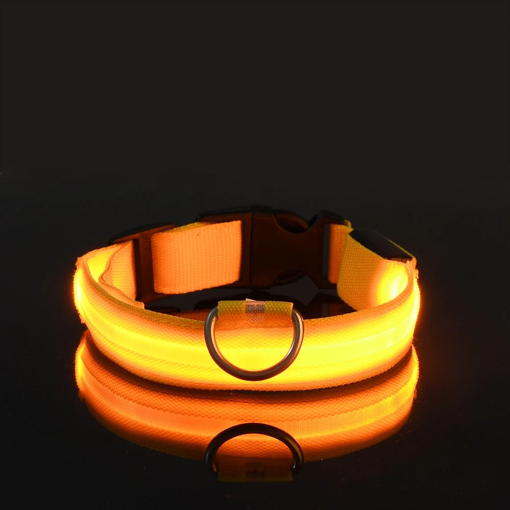 Collier LED Lumineux pour Chien - Sécurité Nocturne