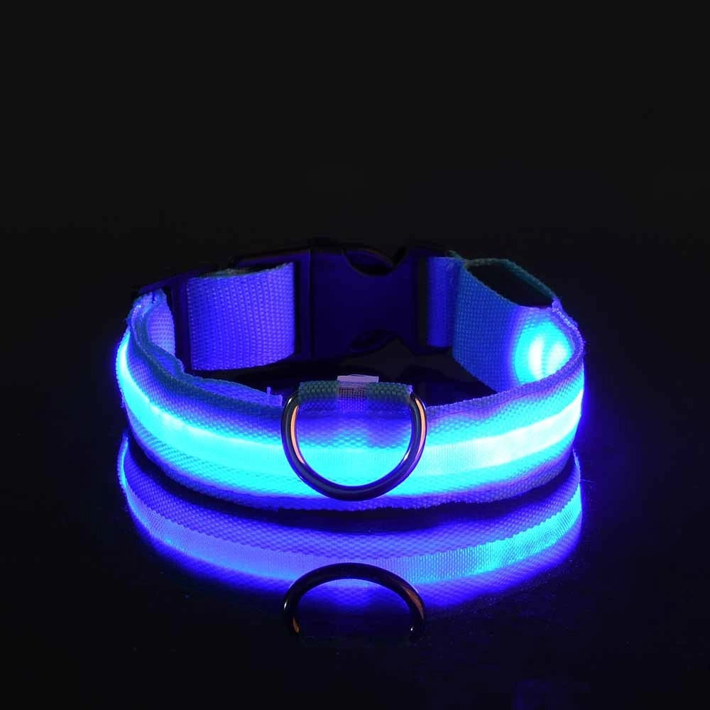 Collier LED Lumineux pour Chien - Sécurité Nocturne