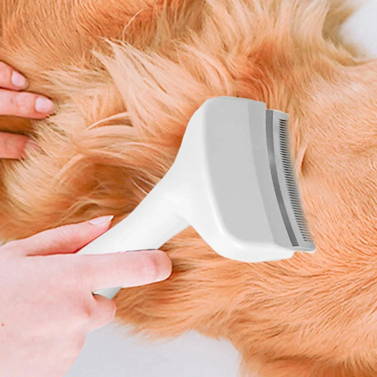 Brosse Anti-Perte de Poils pour Chien - Toilettage Facile
