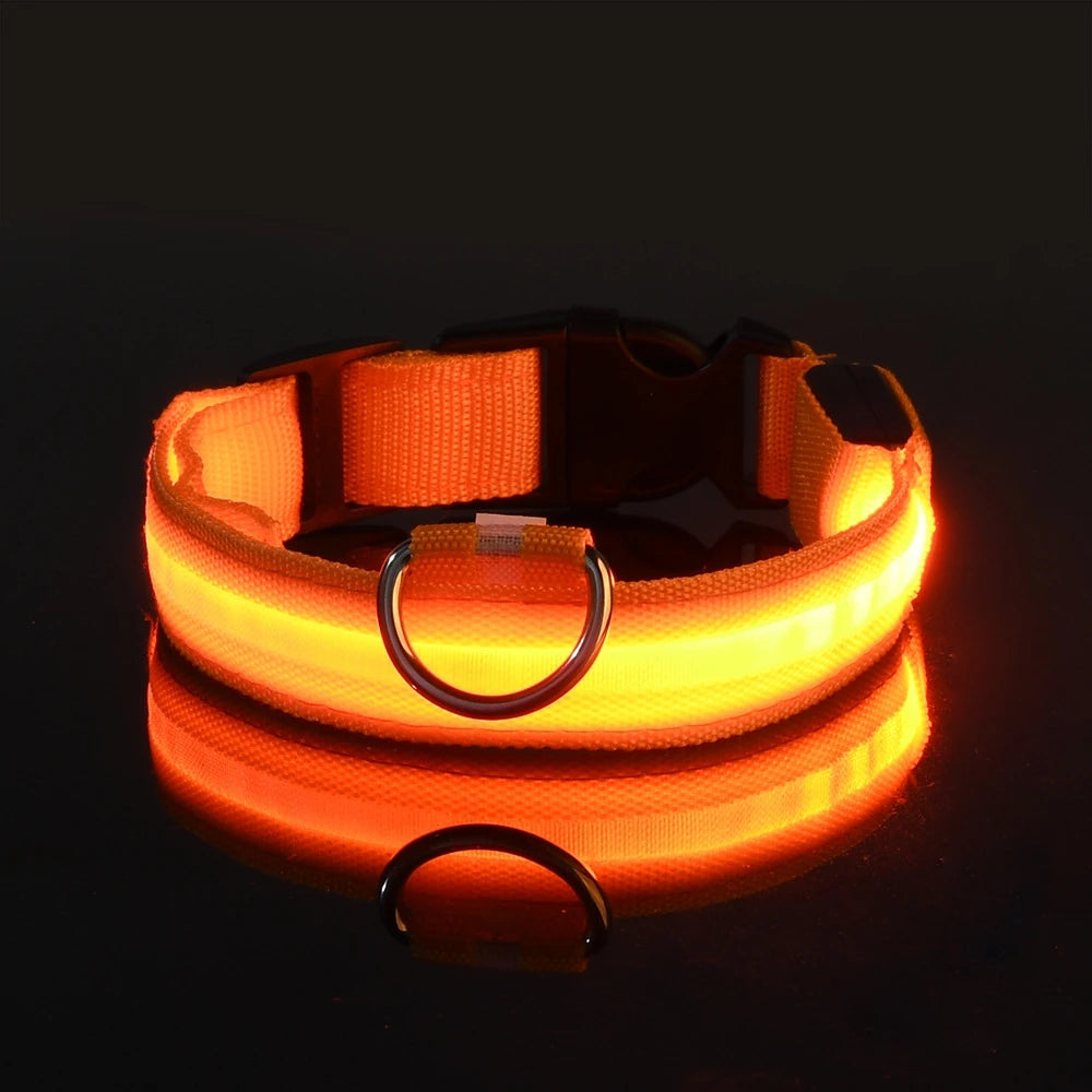 Collier LED Lumineux pour Chien - Sécurité Nocturne