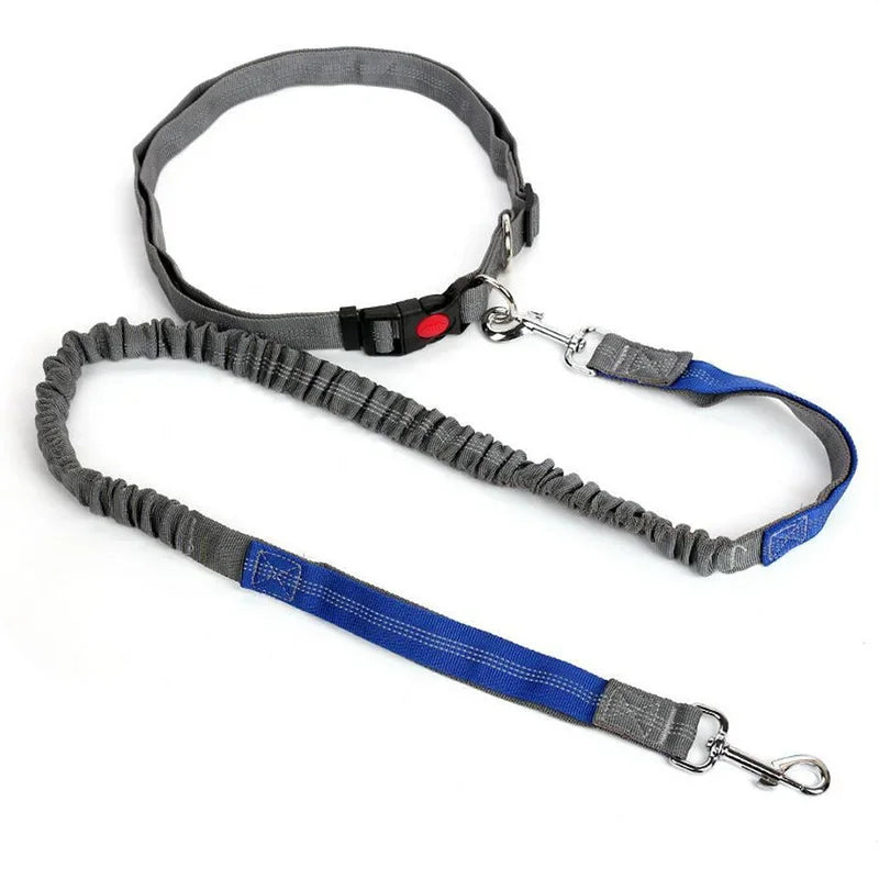 Laisse Mains-Libres pour Chien - Ceinture de Jogging Réglable