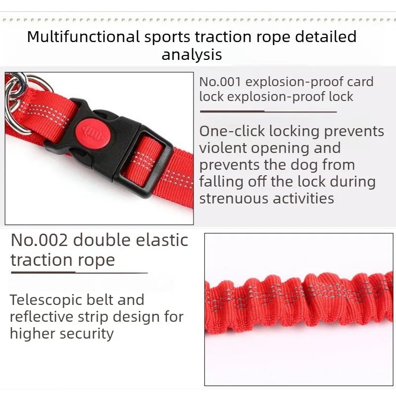 Laisse Mains-Libres pour Chien - Ceinture de Jogging Réglable