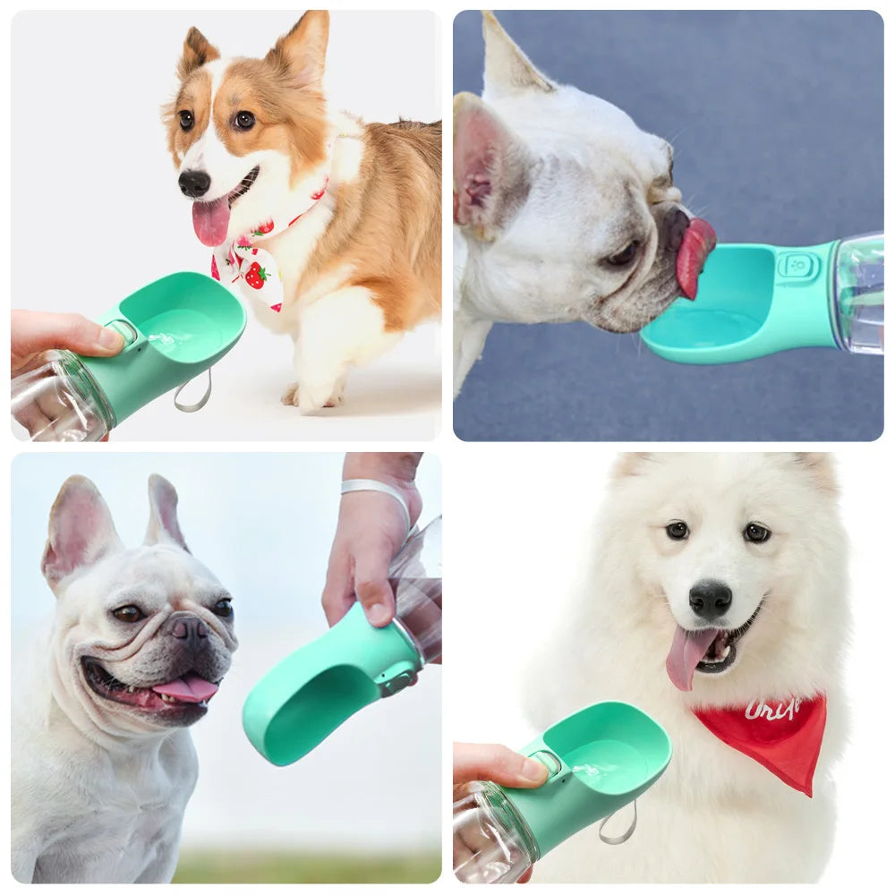 Gourde Pliable pour Chien - Gamelle de Voyage Portable