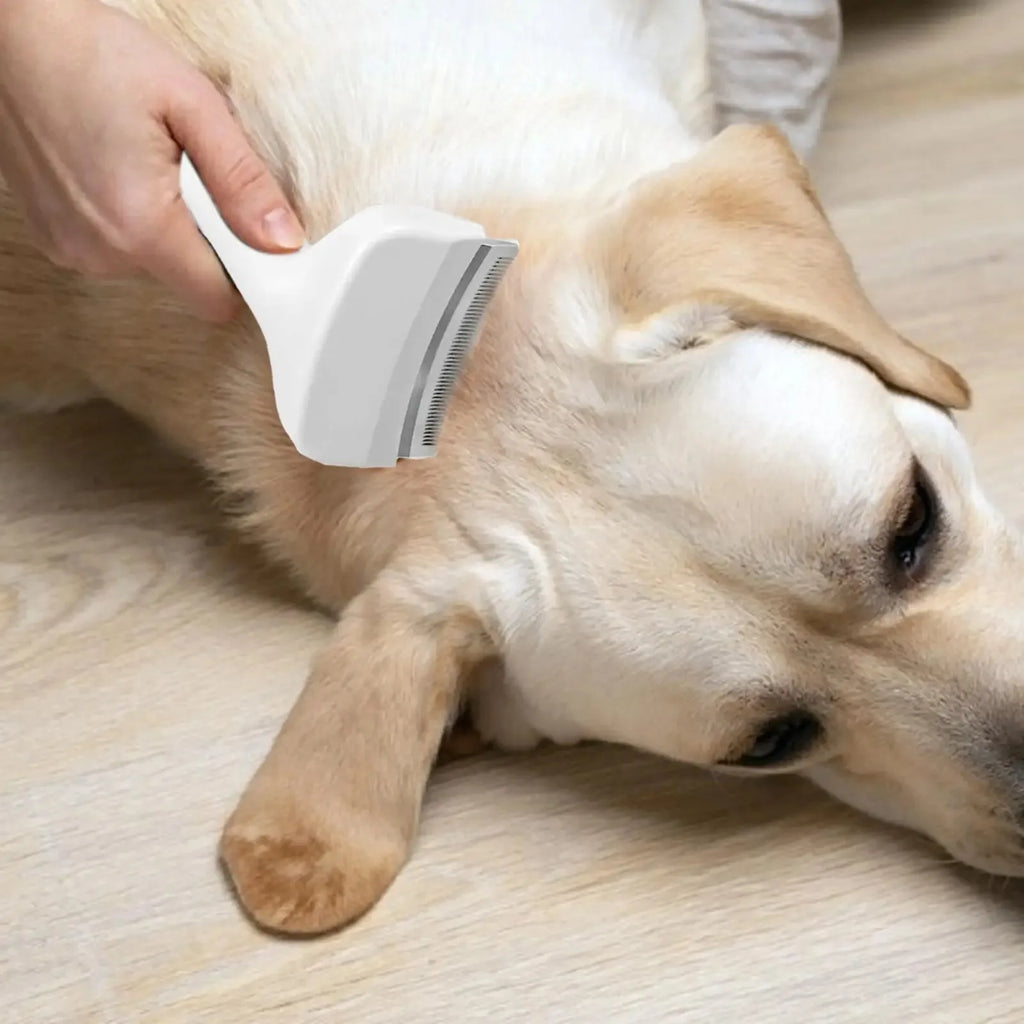 Brosse Anti-Perte de Poils pour Chien - Toilettage Facile