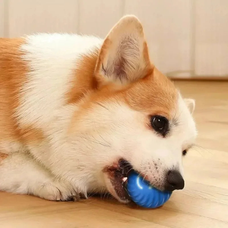 Balle Roulante Interactive pour Chien - Jouet Intérieur