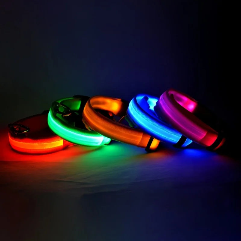 Collier LED Lumineux pour Chien - Sécurité Nocturne