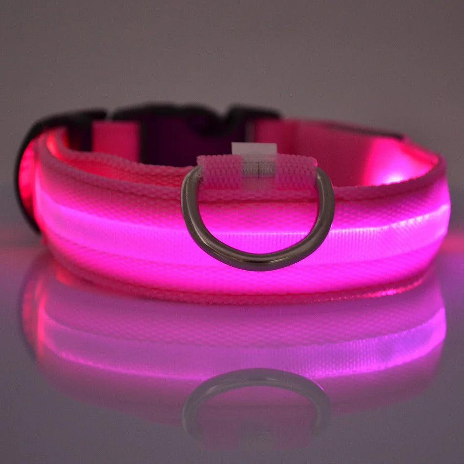 Collier LED Lumineux pour Chien - Sécurité Nocturne