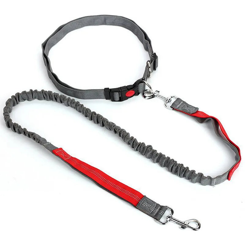Laisse Mains-Libres pour Chien - Ceinture de Jogging Réglable