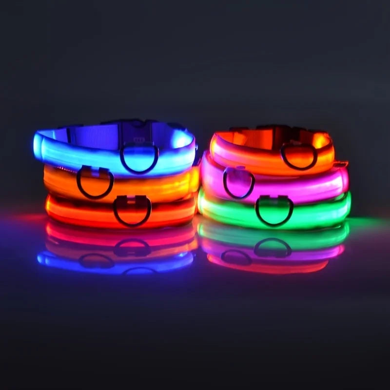 Collier LED Lumineux pour Chien - Sécurité Nocturne