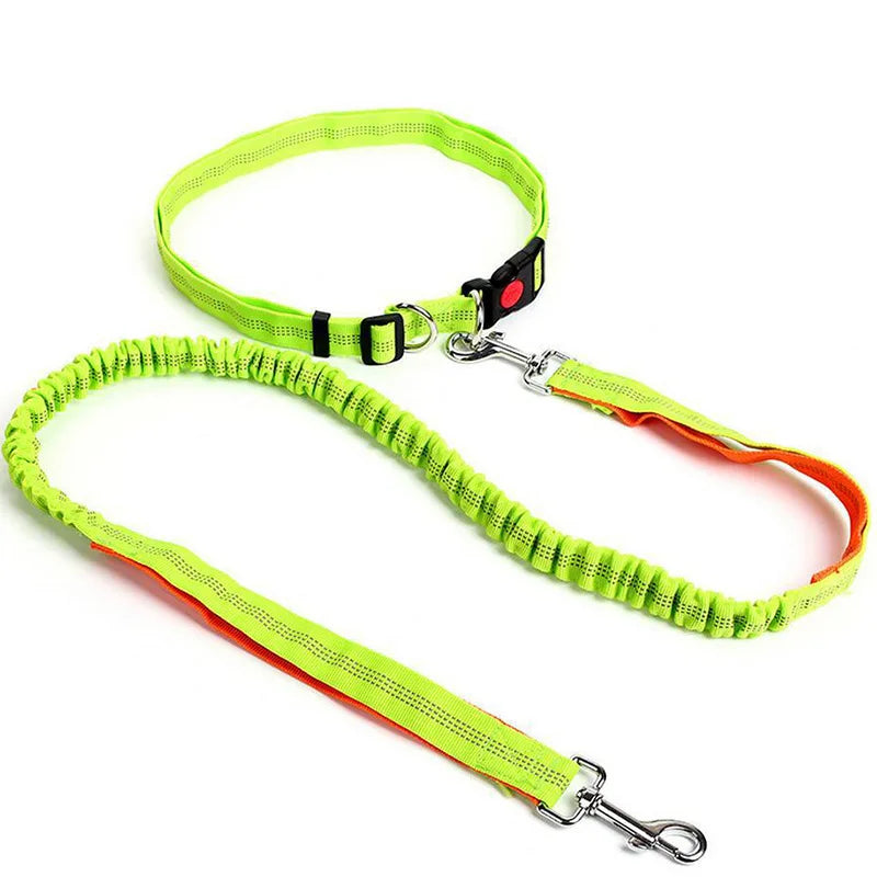 Laisse Mains-Libres pour Chien - Ceinture de Jogging Réglable