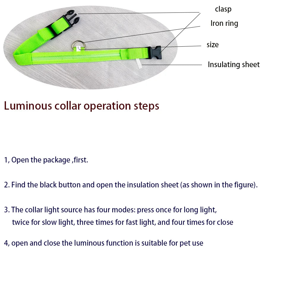 Collier LED Lumineux pour Chien - Sécurité Nocturne