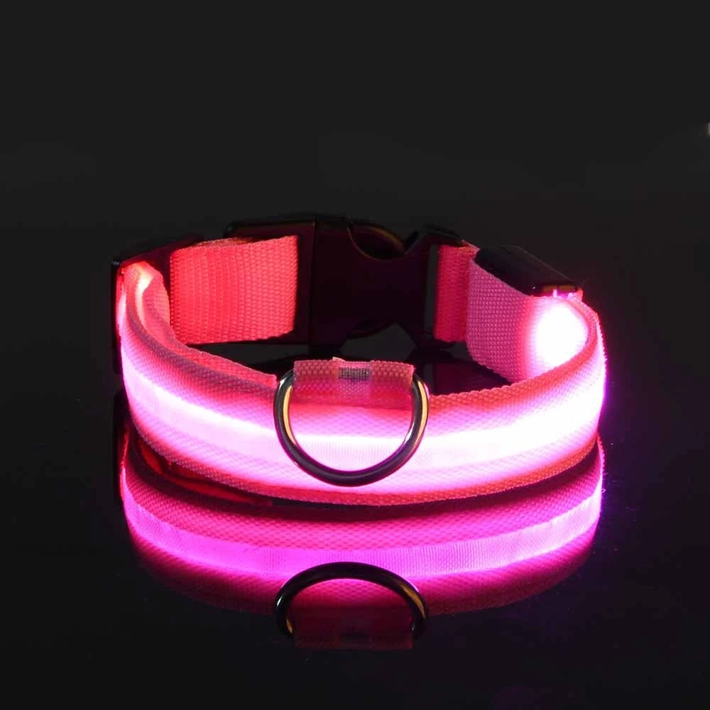 Collier LED Lumineux pour Chien - Sécurité Nocturne