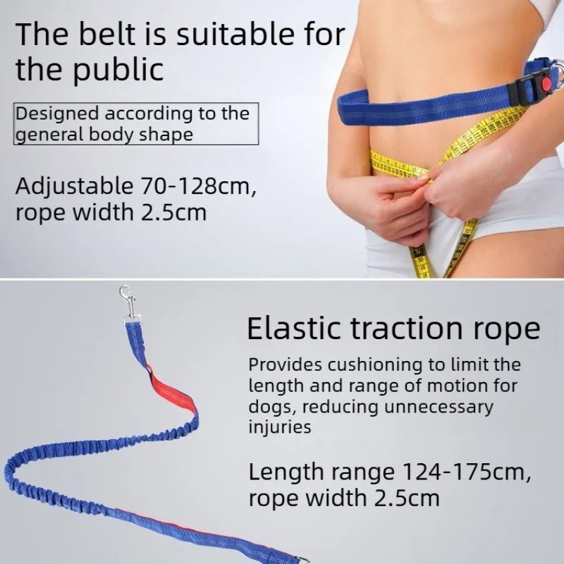 Laisse Mains-Libres pour Chien - Ceinture de Jogging Réglable