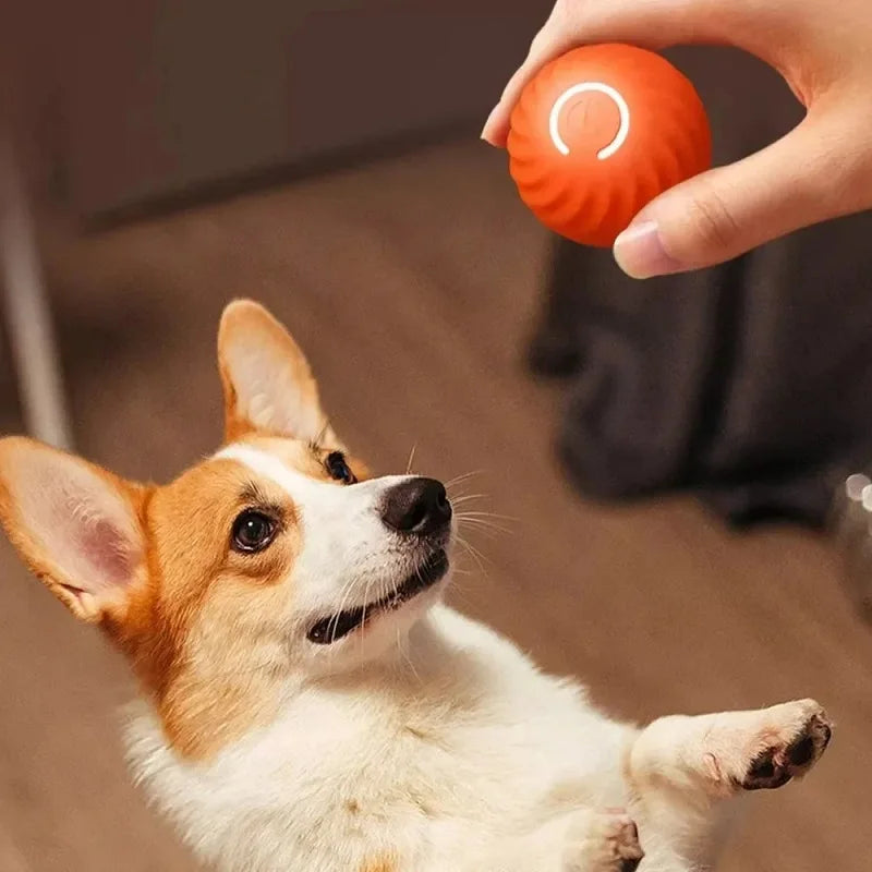 Balle Roulante Interactive pour Chien - Jouet Intérieur