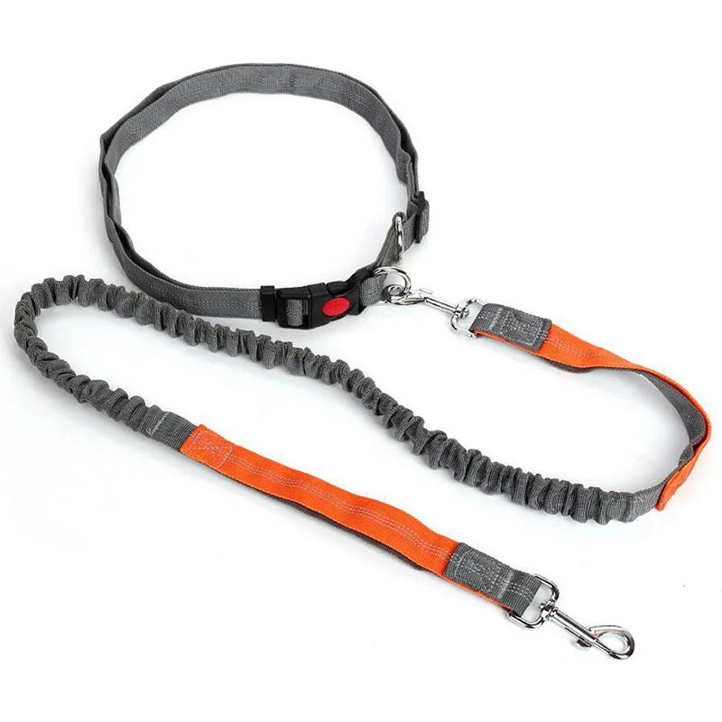 Laisse Mains-Libres pour Chien - Ceinture de Jogging Réglable