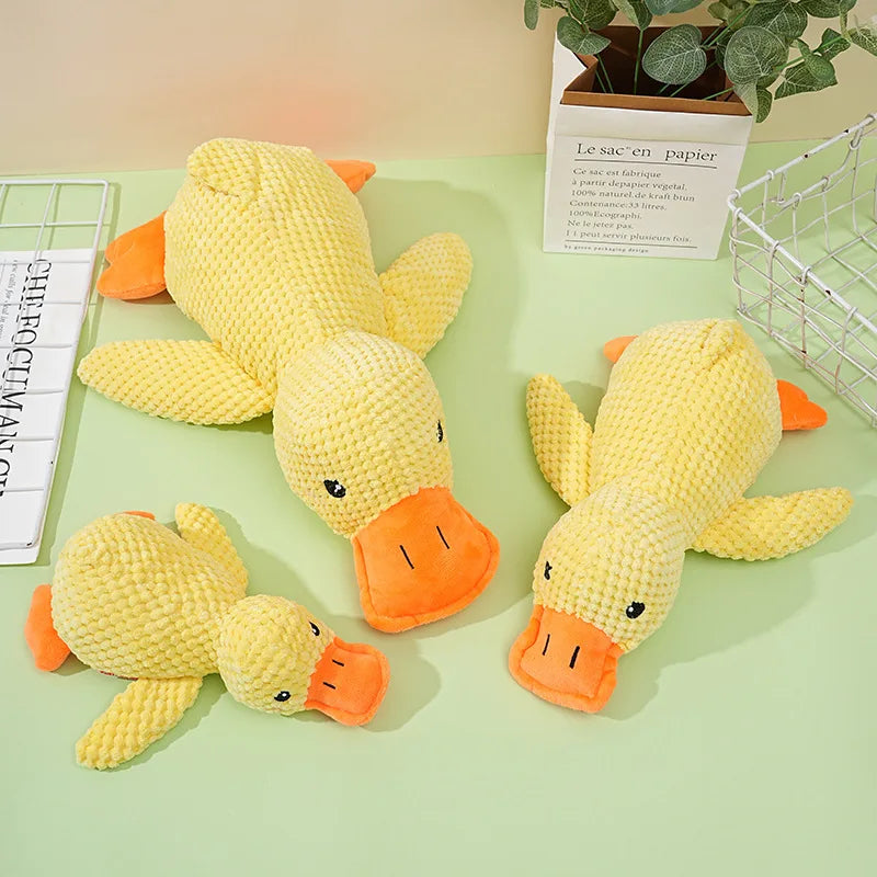 Canard en Peluche Grinçant pour Chien - Jouet à Mâcher