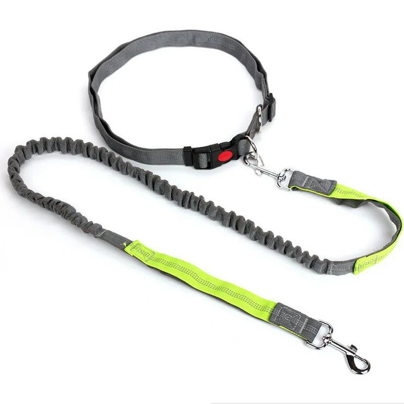 Laisse Mains-Libres pour Chien - Ceinture de Jogging Réglable