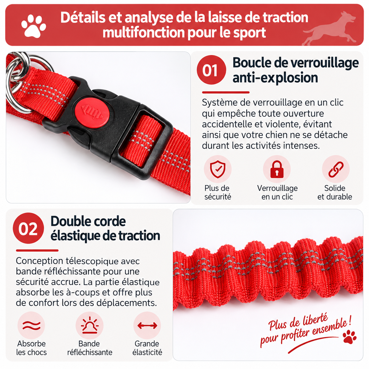 Laisse Mains-Libres pour Chien - Ceinture de Jogging Réglable