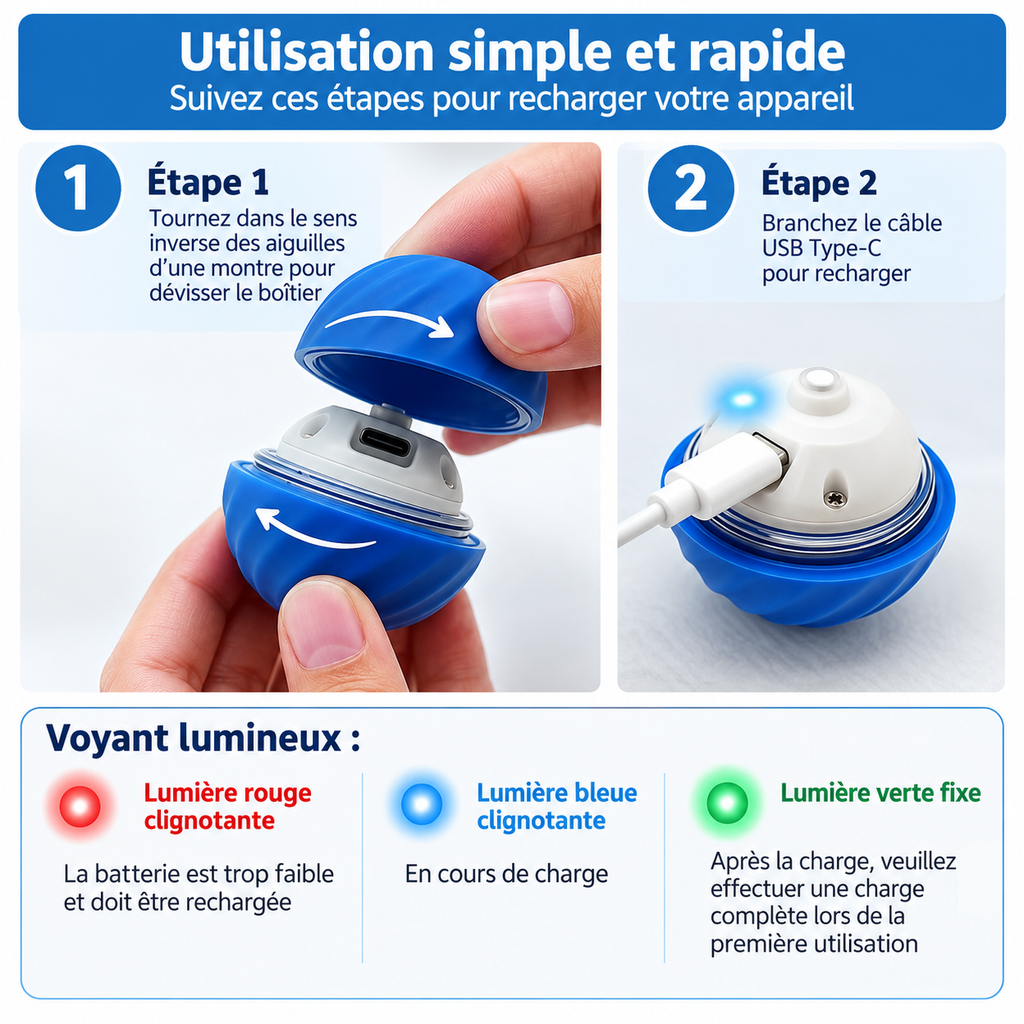 Balle Roulante Interactive pour Chien - Jouet Intérieur