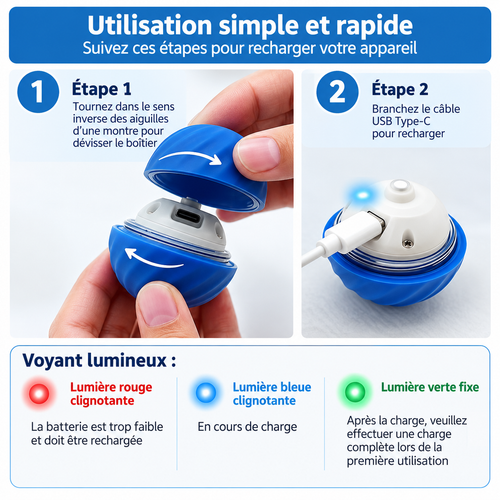 Balle Roulante Interactive pour Chien - Jouet Intérieur