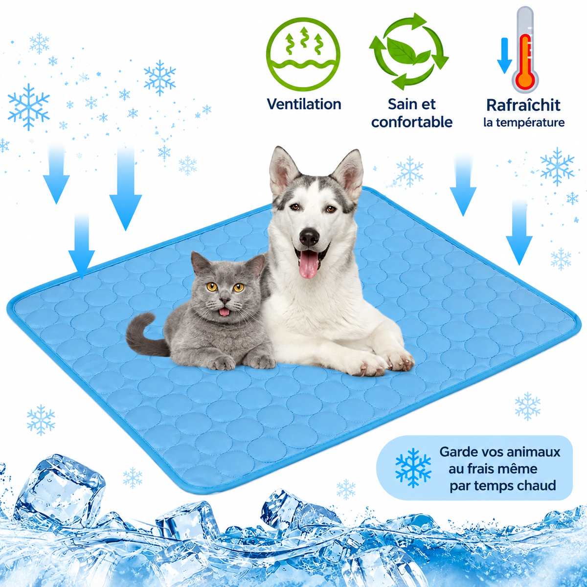 Tapis Rafraîchissant pour Chien - Confort Été